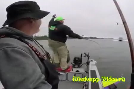 Неудачная рыбалка