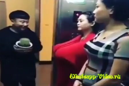 С кактусом в лифте