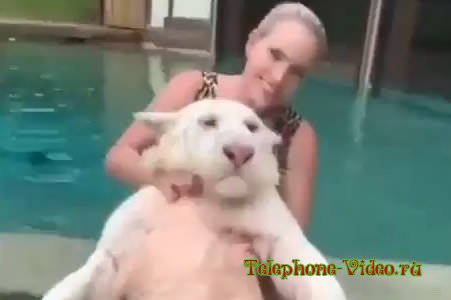 Кошечка принимает ванну