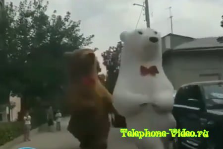 Ссора двух медведей
