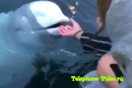 Когда уронил телефон в море