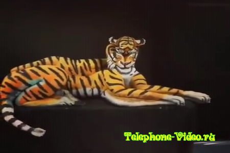 Тигр боди-арт
