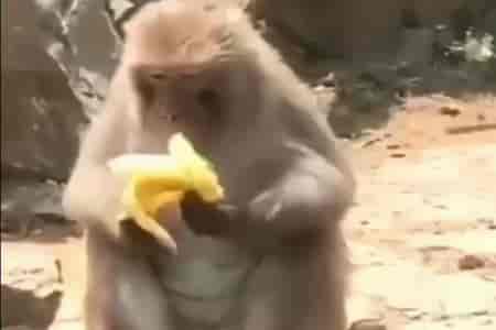 Поел банан