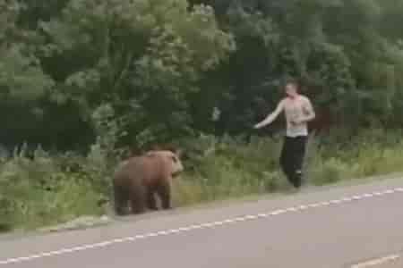 Решил покормить медведя
