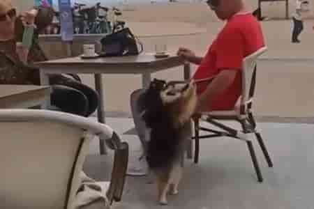 Веселится на празднике