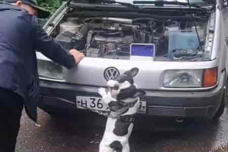 Помогает толкнуть