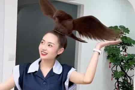 Необычный цирюльник