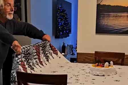 Забавные моменты