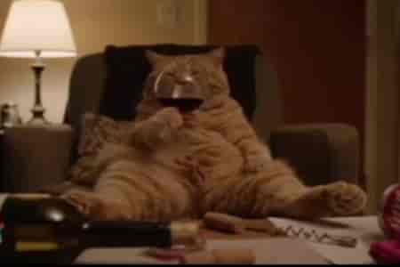 Кот отдыхает