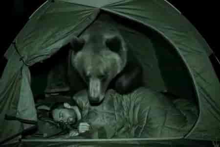 Примостился под бочок