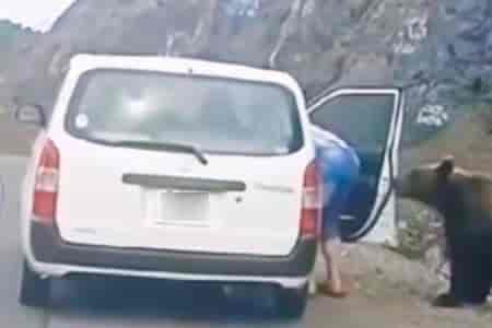 Покормил мишку