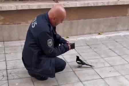 Сорока разбирается в деньгах