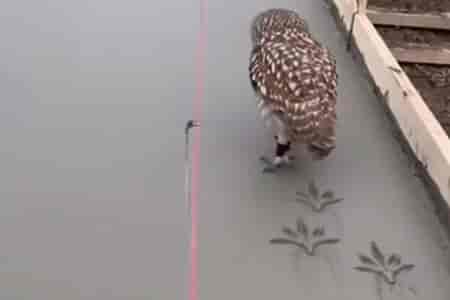 Красивый узор