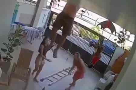 Дайте спрыгнуть