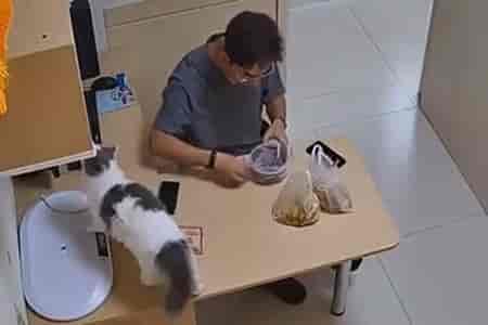 Вот и поели