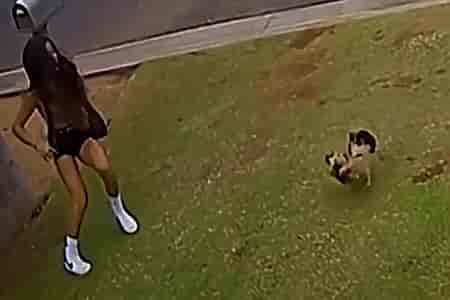 Не пускают домой