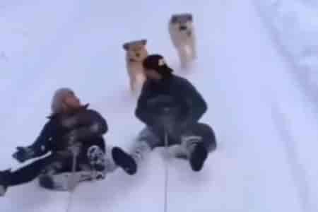 Прокатились на покрышках