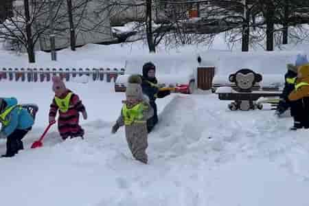 Команда добровольцев