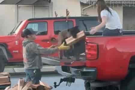 Замечательный помощник