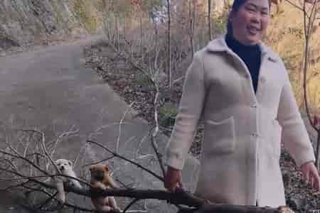 Устроились поудобнее