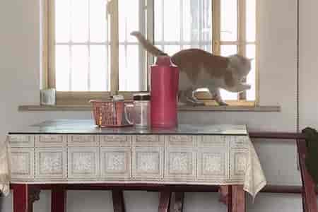 Выбрался на волю