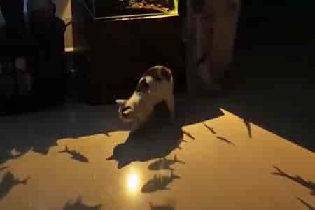 Пришёл на рыбалку