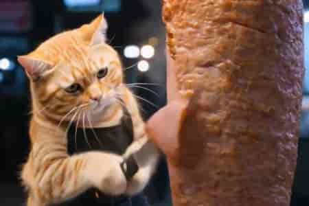 Шаурму заказывали