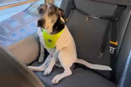 Собирает на занятия