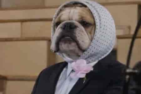 Экзамен из приключения Шурика