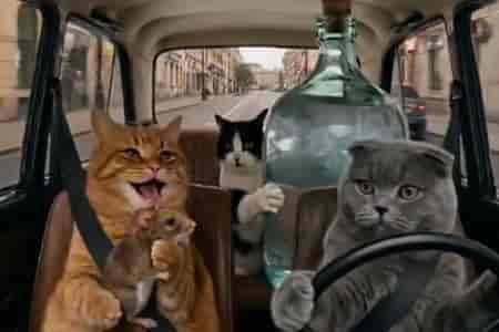 Взяли выпить и закусить