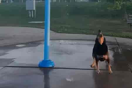 Прохладный душ