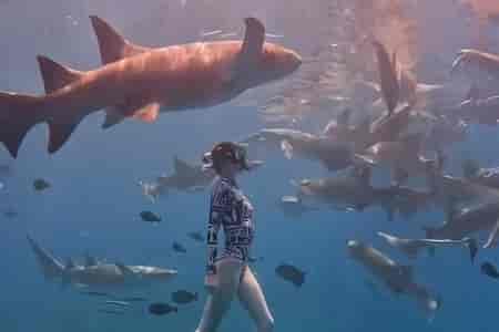 Столкнулись немножко