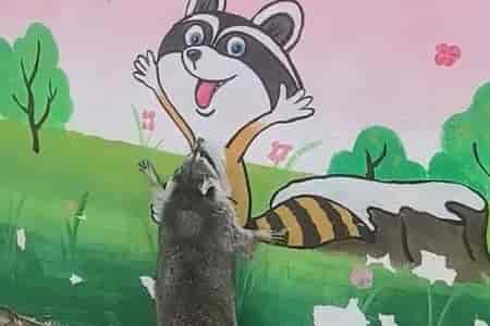 Нашёл друга