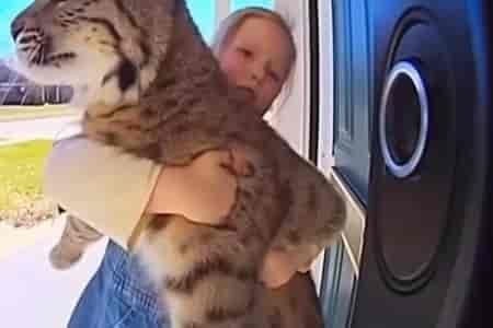 Принесла домой кошку