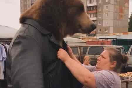 Приключения медведя